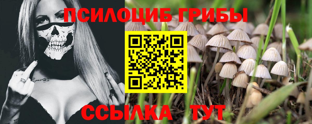 Псилоцибиновые грибы Magic Shrooms  Вход с VPN  Абинск 